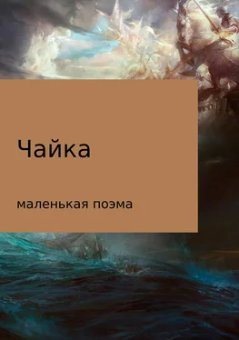 Максим Покровин Чайка (маленькая поэма) обложка книги