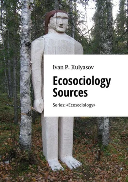 I. Kulyasov Ecosociology Sources. Series: «Ecosociology» обложка книги