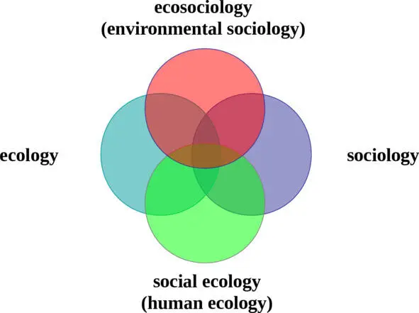 Schema Intersection and combining of natural and social spheres In Russia the - фото 1