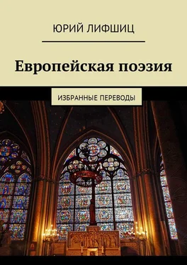 Юрий Лифшиц Европейская поэзия. Избранные переводы обложка книги