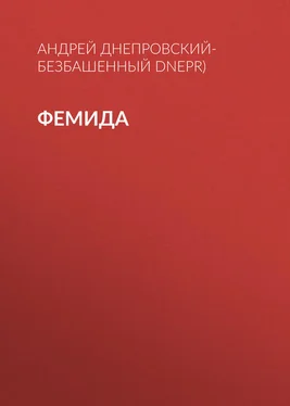 Андрей Днепровский-Безбашенный (A.DNEPR) Фемида обложка книги