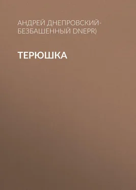 Андрей Днепровский-Безбашенный (A.DNEPR) Терюшка обложка книги