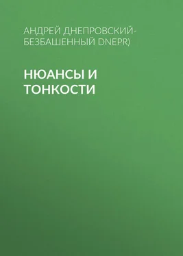 Андрей Днепровский-Безбашенный (A.DNEPR) Нюансы и тонкости обложка книги