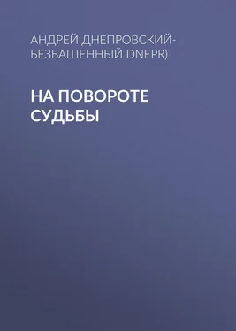 Андрей Днепровский-Безбашенный (A.DNEPR) На повороте судьбы обложка книги