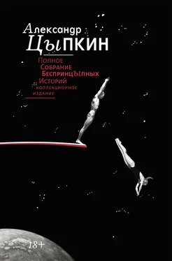 Александр Цыпкин Полное собрание беспринцЫпных историй обложка книги