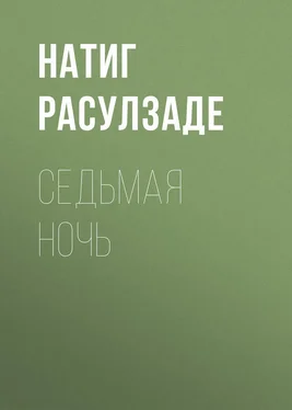 Натиг Расулзаде Седьмая ночь обложка книги