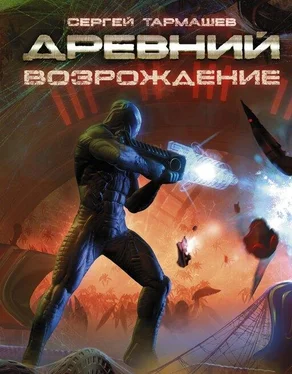 Сергей Тармашев Возрождение обложка книги