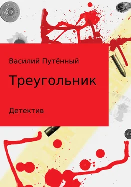 Василий Путённый Треугольник обложка книги