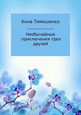 Анна Тимошенко Необычайные приключения трех друзей обложка книги