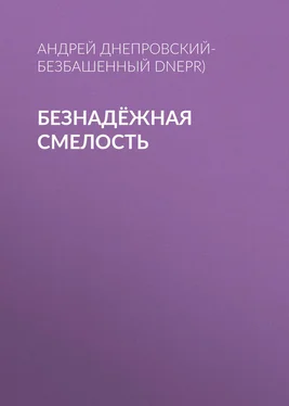 Андрей Днепровский-Безбашенный (A.DNEPR) Безнадёжная смелость