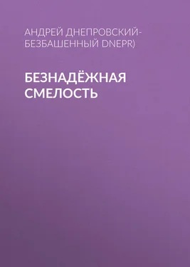 Андрей Днепровский-Безбашенный (A.DNEPR) Безнадёжная смелость обложка книги