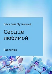 Василий Путённый - Сердце любимой