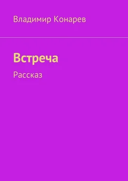 Владимир Конарев Встреча. Рассказ обложка книги