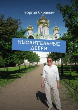 Георгий Скрипкин Мыслительные дебри обложка книги