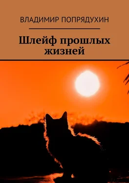 Владимир Попрядухин Шлейф прошлых жизней обложка книги