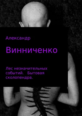 Александр Винниченко Лес незначительных событий. Часть 1. Бытовая сколопендра обложка книги