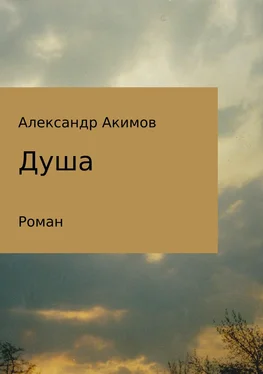 Александр Акимов Душа обложка книги