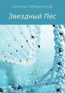 Наталья Лебединская Звездный Пес обложка книги