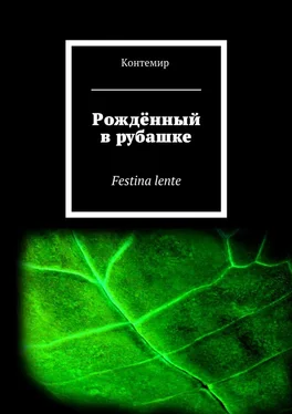 Контемир Рождённый в рубашке. Festina lente обложка книги