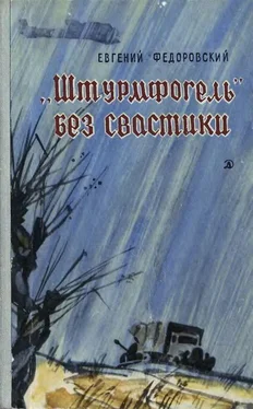 Евгений Федоровский «Штурмфогель» без свастики обложка книги