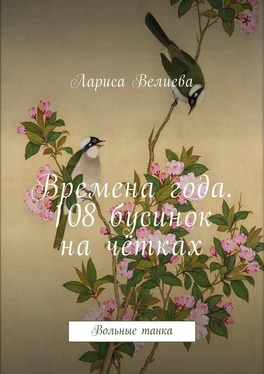 Лариса Велиева Времена года. 108 бусинок на чётках. Вольные танка обложка книги