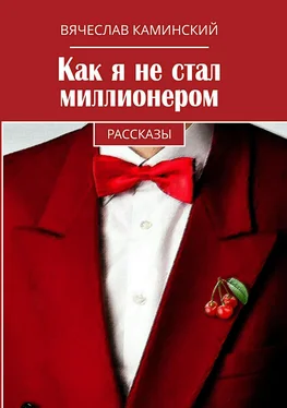 Вячеслав Каминский Как я не стал миллионером обложка книги