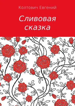 Евгений Колтович Сливовая сказка обложка книги