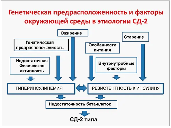 Почему происходит повышение в крови концентрации глюкозы Ответственны за это - фото 6