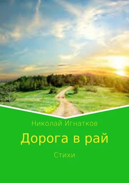 Николай Игнатков Дорога в рай обложка книги