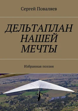 Сергей Поваляев Дельтаплан нашей мечты. Избранная поэзия обложка книги