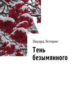 Эдуард Эстерис Тень безымянного обложка книги