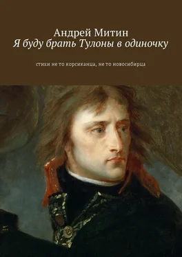 Андрей Митин Я буду брать Тулоны в одиночку. Стихи не то корсиканца, не то новосибирца обложка книги