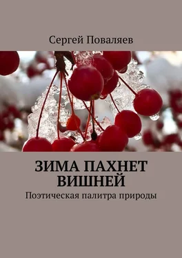 Сергей Поваляев Зима пахнет вишней. Поэтическая палитра природы обложка книги