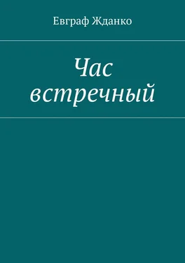 Евграф Жданко Час встречный обложка книги