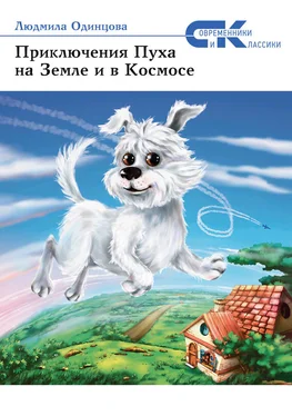 Людмила Одинцова Приключения Пуха на Земле и в Космосе обложка книги