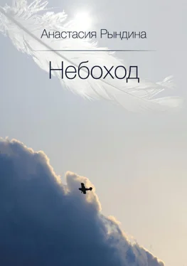 Анастасия Рындина Небоход обложка книги