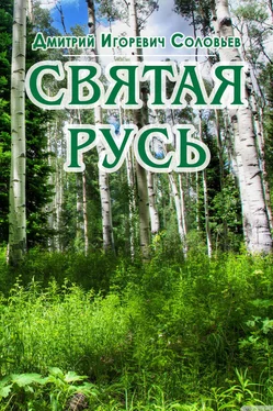 Дмитрий Соловьев Святая Русь обложка книги