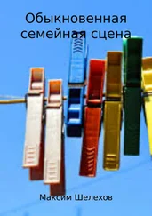 Максим Шелехов - Обыкновенная семейная сцена