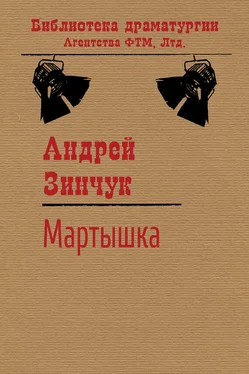 Андрей Зинчук Мартышка обложка книги