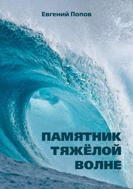 Евгений Попов Памятник тяжёлой волне (сборник) обложка книги