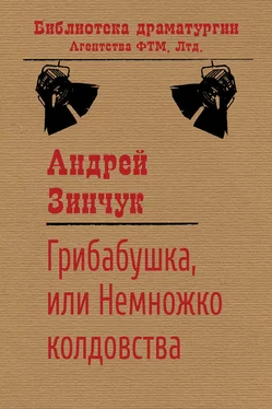 Андрей Зинчук Грибабушка, или Немножко колдовства обложка книги