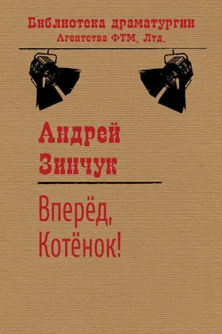 Андрей Зинчук Вперед, Котенок! обложка книги