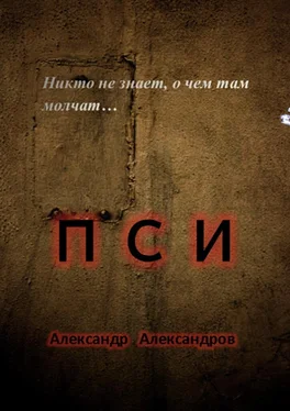 Александр Александров ПСИ. Никто не знает, о чем там молчат… обложка книги