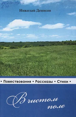 Н. Денисов В чистом поле: очерки, рассказы, стихи обложка книги