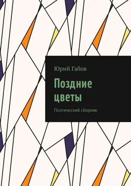 Юрий Габов Поздние цветы. Поэтический сборник обложка книги