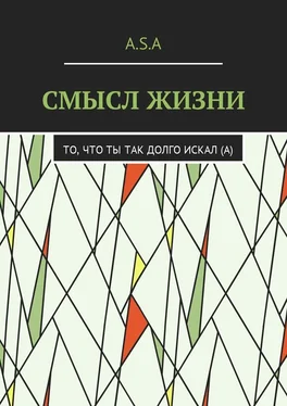 Артём Шишкин Смысл жизни. То, что ты так долго искал(а) обложка книги