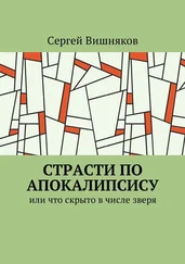Сергей Вишняков - Страсти по Апокалипсису. Или что скрыто в числе зверя