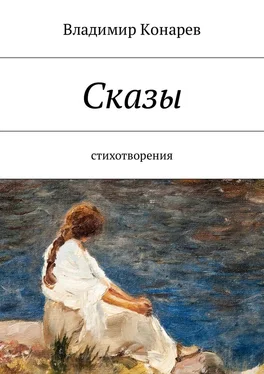 Владимир Конарев Сказы. Стихотворения обложка книги