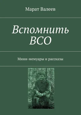 Марат Валеев Вспомнить ВСО. Мини-мемуары и рассказы обложка книги