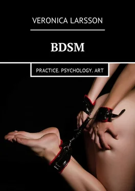 Veronica Larsson BDSM. Practice. Psychology. Art обложка книги